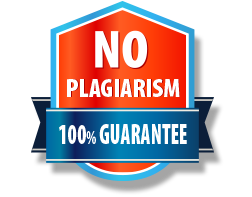 no-plagiarism